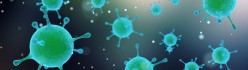 Testkit  für Cytomegalovirus DNA Detektion  